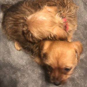 Meet your Posher, Leslie